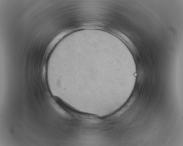 X0000113111196200910091153
