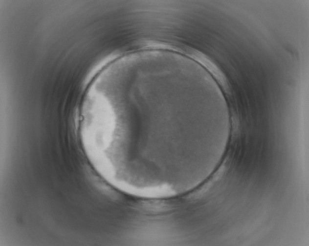 X0000113111198200910091153