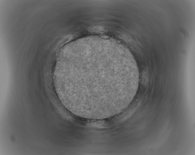 X0000113111201200910091152
