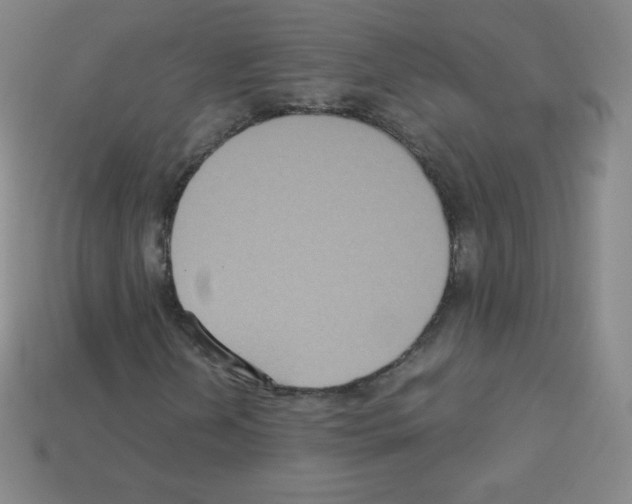 X0000113111202200910091152