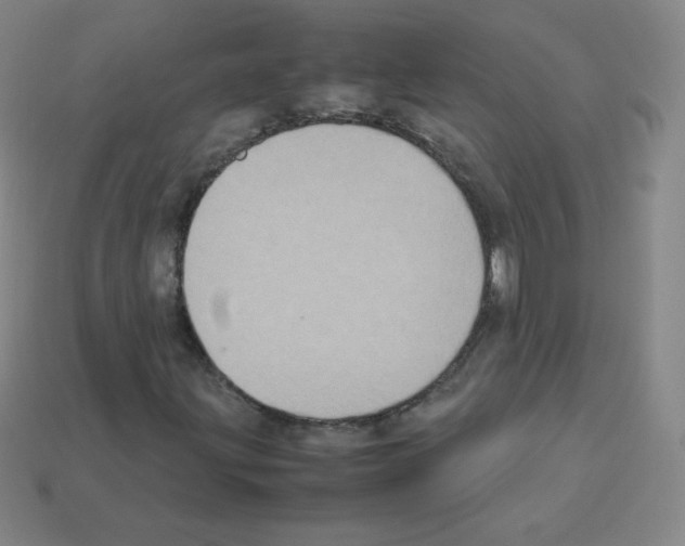 X0000113111203200910091152