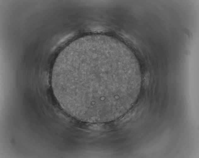 X0000113111205200910091152