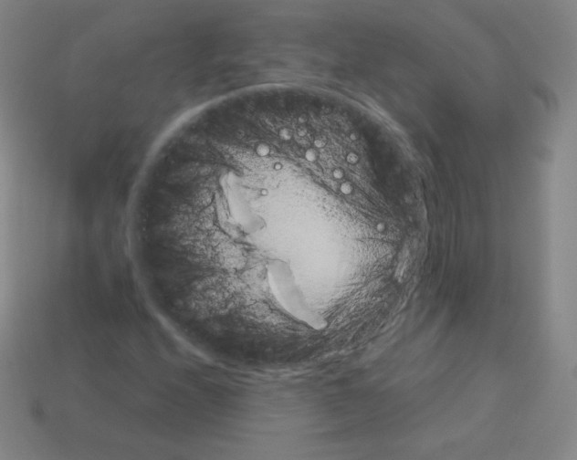 X0000113111208200910091152