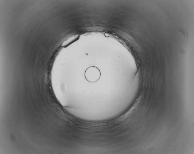 X0000113111209200910091152