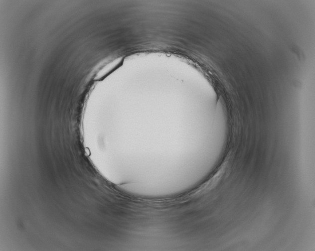 X0000113111210200910091152