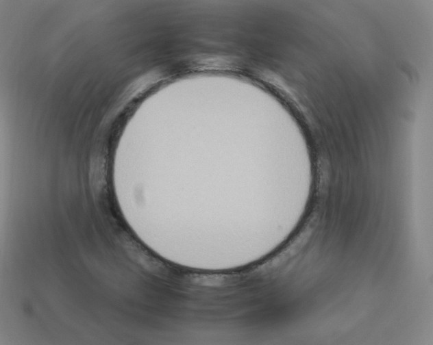X0000113111211200910091152