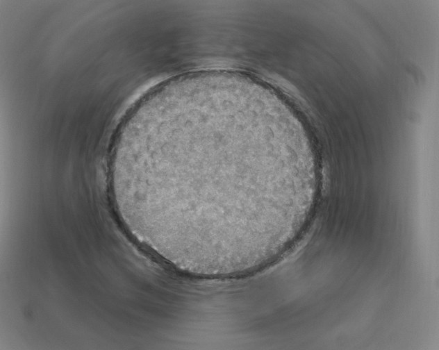 X0000113111212200910091152