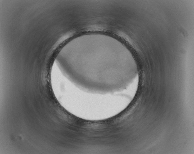 X0000113111213200910091152