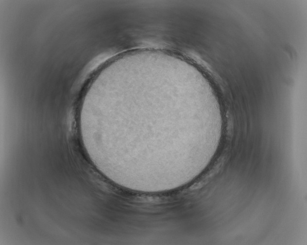 X0000113111215200910091152