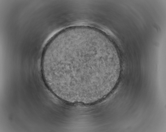 X0000113111216200910091152