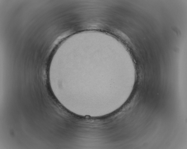 X0000113111218200910091153