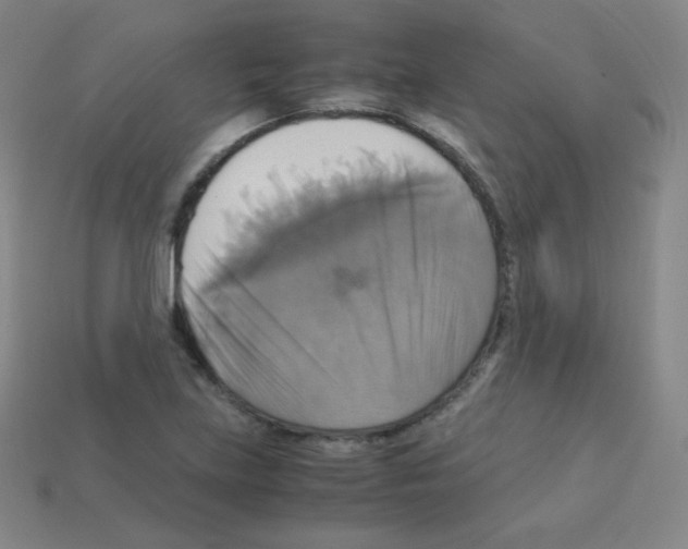 X0000113111219200910091153