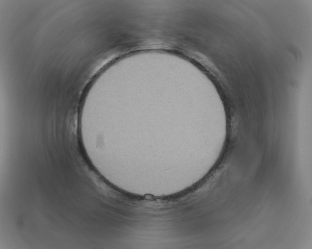 X0000113111220200910091153