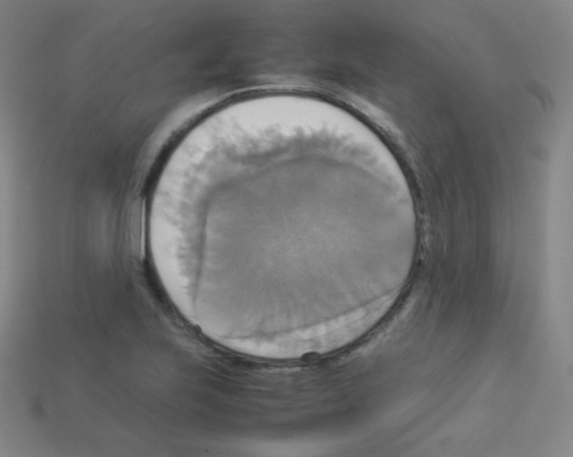 X0000113111223200910091153