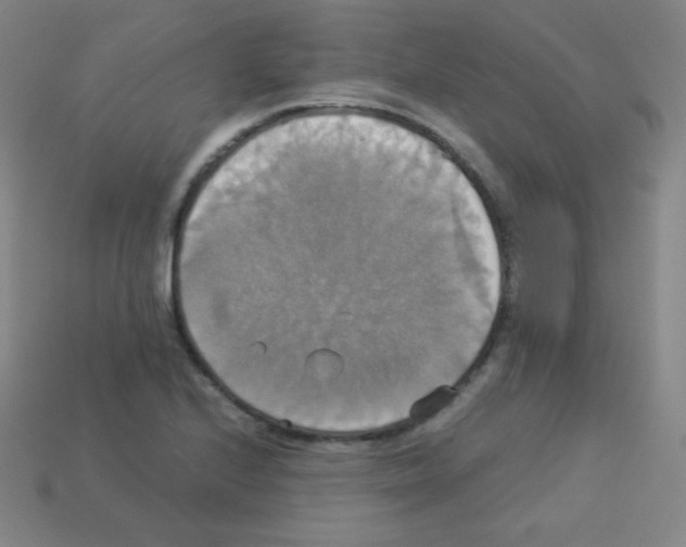 X0000113111224200910091153
