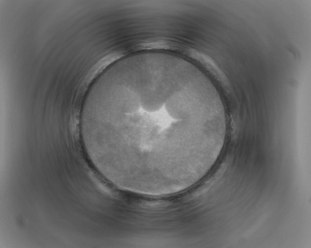 X0000113111225200910091153