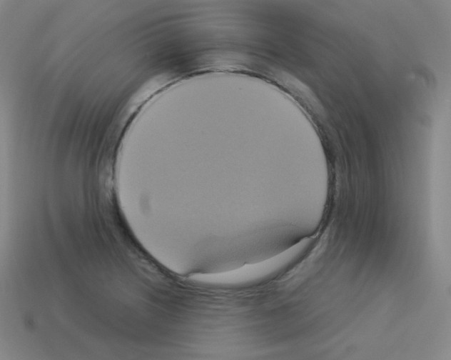 X0000113111226200910091153