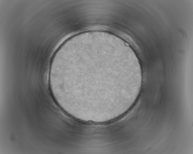 X0000113111228200910091153