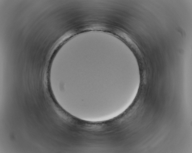 X0000113111229200910091153