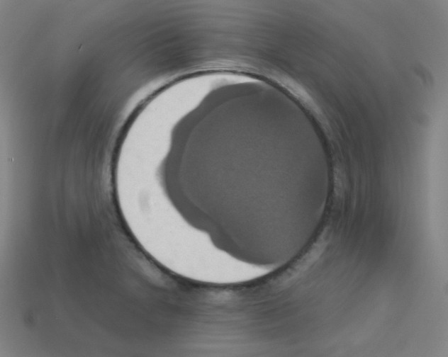 X0000113111230200910091153