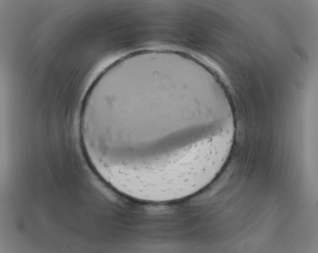 X0000113111231200910091153