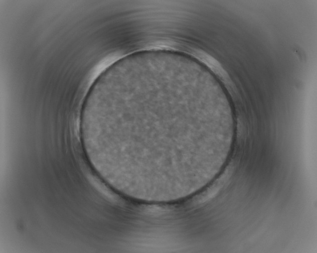 X0000113111234200910091153
