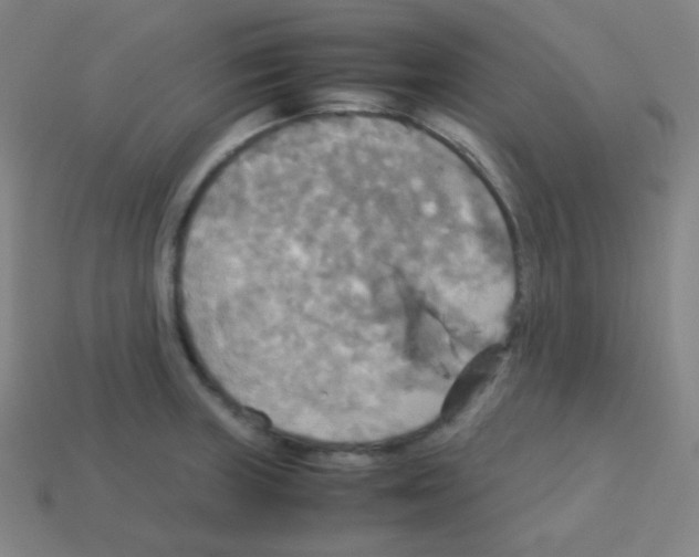 X0000113111235200910091153
