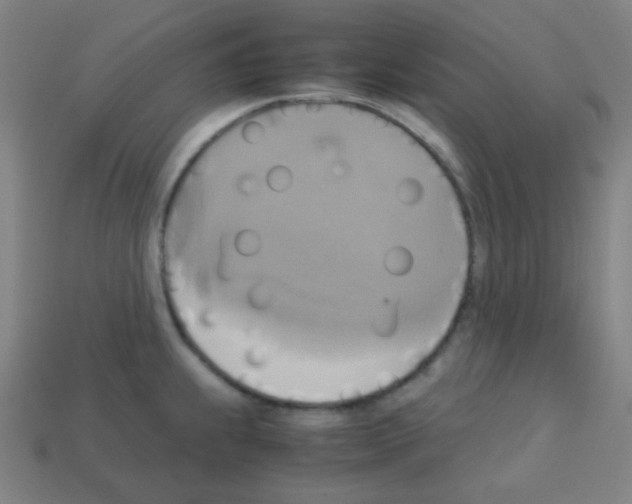 X0000113111239200910091153