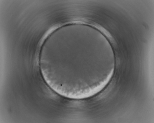 X0000113111240200910091153