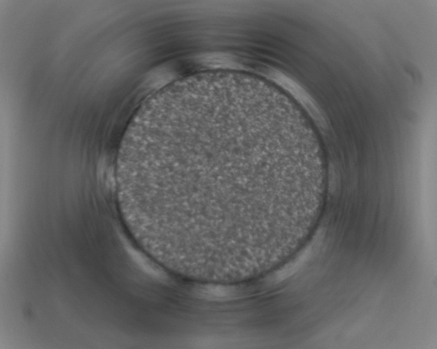 X0000113111241200910091153