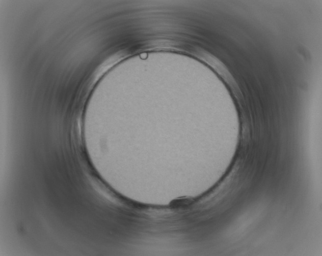 X0000113111242200910091153