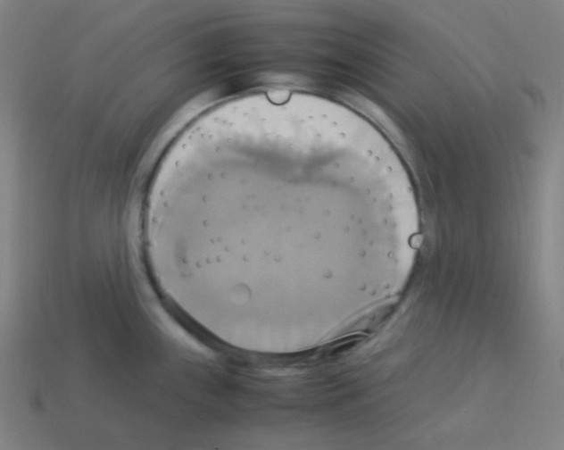 X0000113111243200910091153