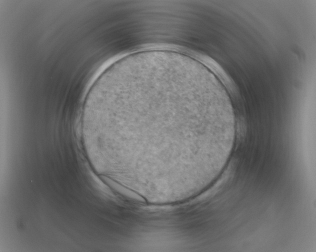 X0000113111244200910091153