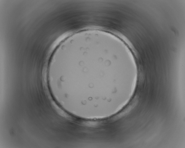 X0000113111245200910091153