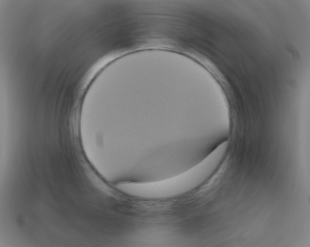 X0000113111246200910091153
