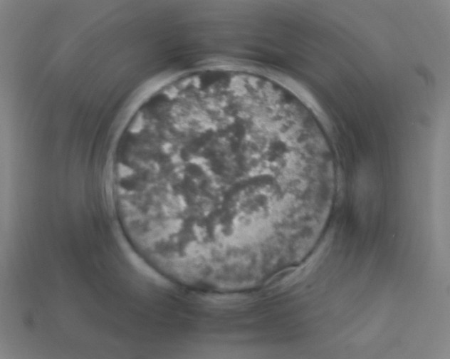 X0000113111247200910091153