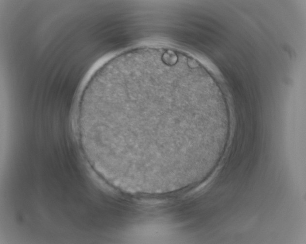 X0000113111248200910091153