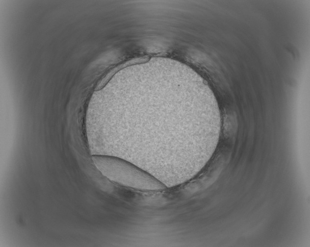X0000113111249200910091152