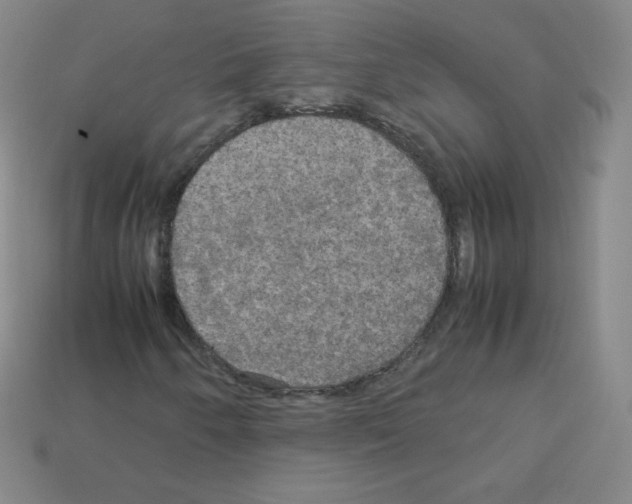 X0000113111250200910091152