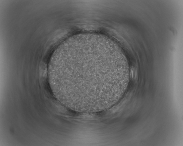 X0000113111251200910091152