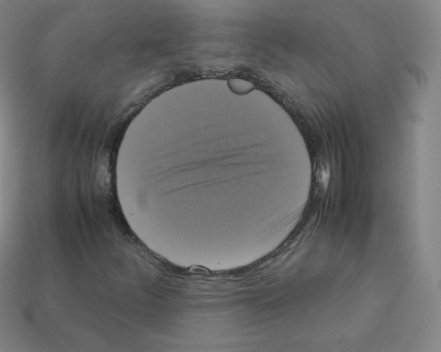 X0000113111252200910091152
