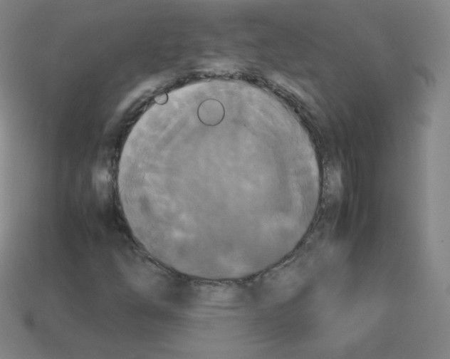 X0000113111254200910091152