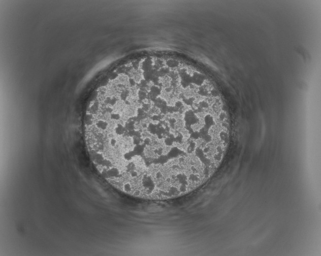 X0000113111255200910091152