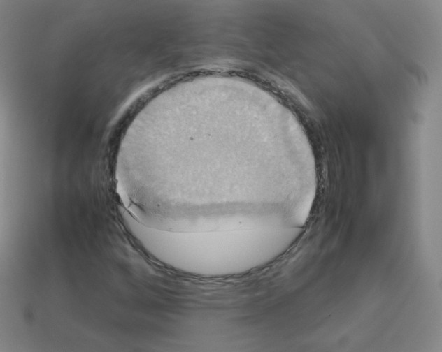 X0000113111256200910091152