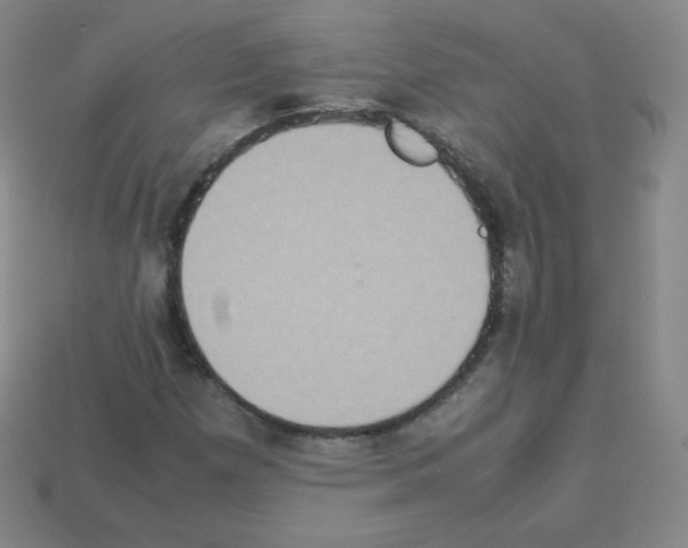 X0000113111257200910091152