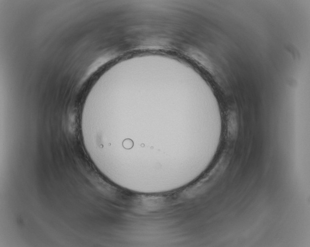 X0000113111258200910091152