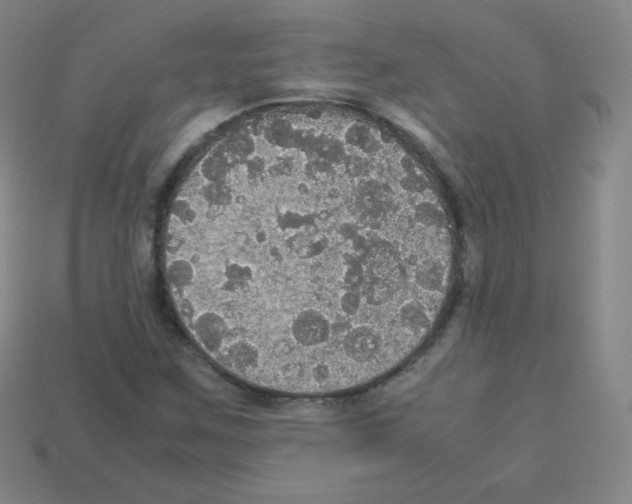 X0000113111259200910091152