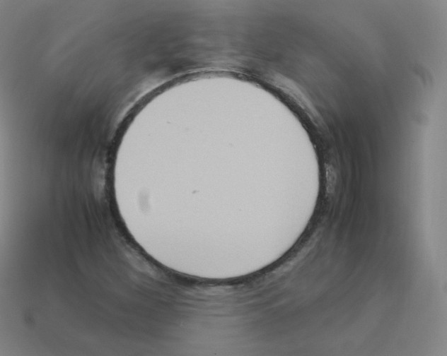 X0000113111260200910091152