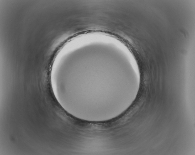 X0000113111263200910091152