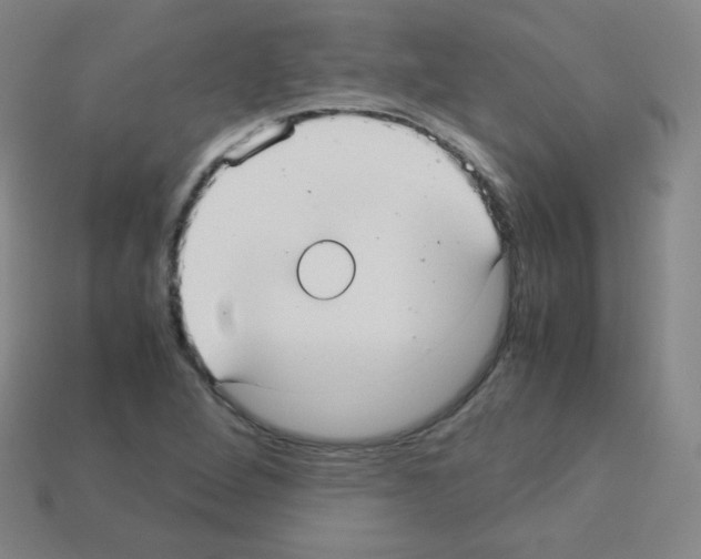 X0000113111264200910091152